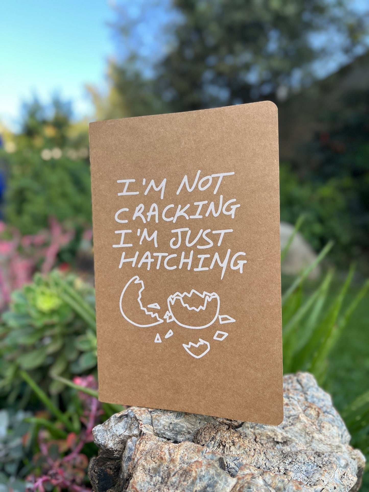 "Hatching" Notebook